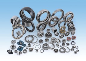 Shanghai ZhengYang (ZYZ) Bearing Co., Ltd